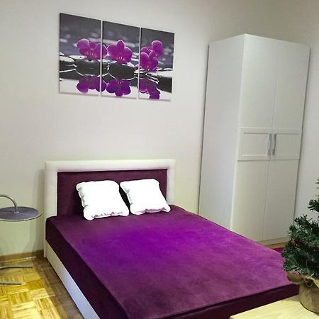 Apartment Mia بلغراد الغرفة الصورة